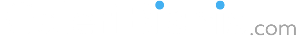 GaleriBisnis.com